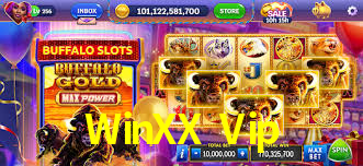 WinXX Vip,WinXX